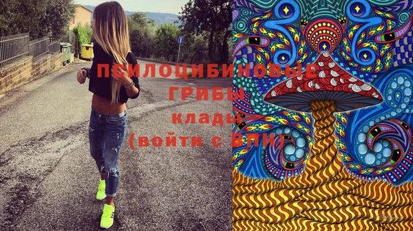 ПСИЛОЦИБИНОВЫЕ ГРИБЫ Абдулино