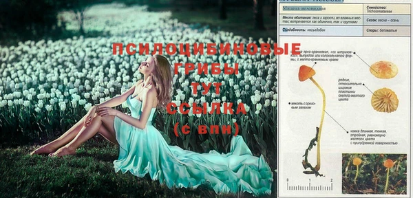 mix Абаза