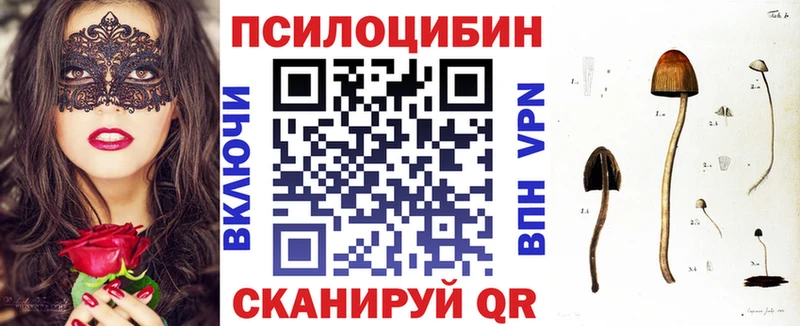 Галлюциногенные грибы GOLDEN TEACHER  дарнет шоп  kraken маркетплейс  Чкаловск 